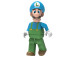 knex_ice_luigi_037