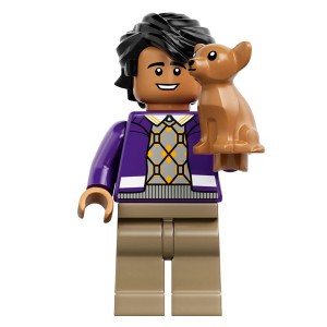 Lego Big Bang Theory Raj Minifigure