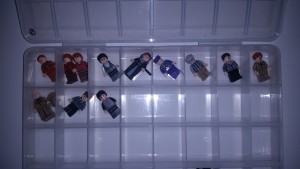 Lego Harry Potter Minifigure Collection in progress Tray 5