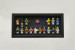 Lego Series 1 Collectible Minifigures in Frame