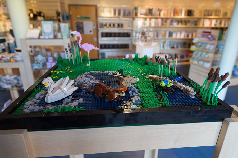 http://minifigpriceguide.com/wordpress/wp-content/uploads/2015/10/Lego-WWT-Certified-Professional-Wetland-Animals-Sets-Front-Built-Models.jpg